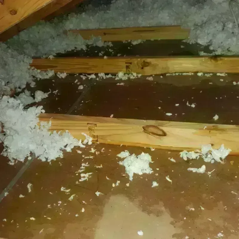 Attic Water Damage in Garnett, KS