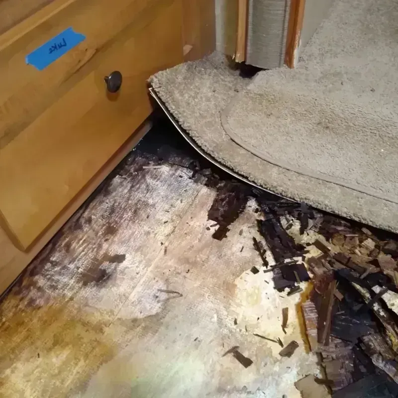 Best Wood Floor Water Damage Service in Garnett, KS